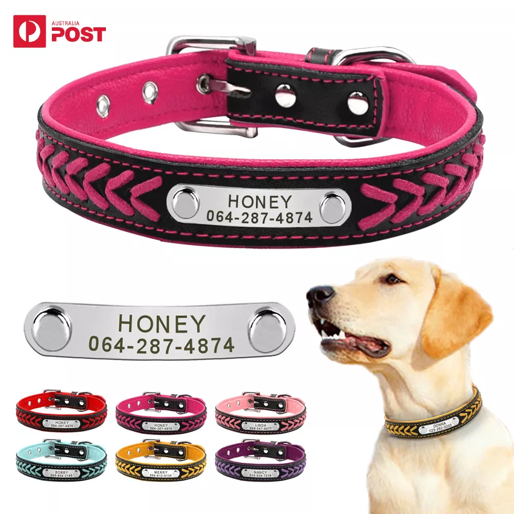 Personalised dog leash sales