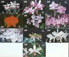 BRAZIL 2001 ORCHIDS PHONECARDS set if 10 Phone cards TELEMAR RJ