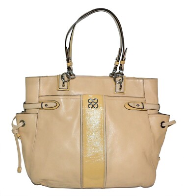 colette laptop bolsa