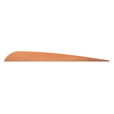 AAE Trad Vanes Sand 4 in. 50 pk.