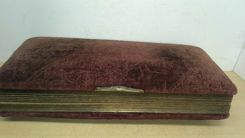 Antique/Vintage Velvet Photo Album over 30 Cabinet Card Photos from PA IL NY - Picture 17 of 20