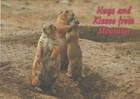 Vintage Postcard Hugs/Kisses Montana Prairie Dogs Abound ©Jerry Jacks John Hinde