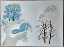 Salvador Dalì Le quattro stagioni invernali FIRMATO A MANO numerato 1972 LITOGRAFIA arte