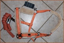 EsKADRON Halfter-Set  Gr. WB FauxFur PLATINUM  "orange" mit Strick NEU !! 