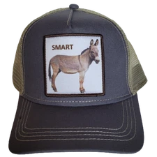 SMART Ass Hat Trucker Baseball Cap Mesh Panel Adjustable One Size Snap Back New