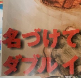 Capcom Street Fighter III 2nd Impact DC Poster NTSC Dreamcast Used JP