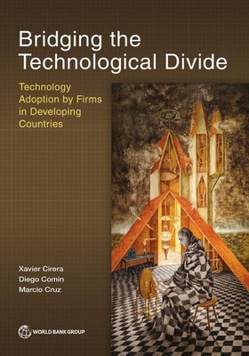 Bridging the Technological Divide: Technology Adoption by Firms in Developing Co