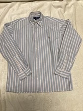 Polo Ralph Lauren custom fit striped oxford shirt in blue and white cotton,
