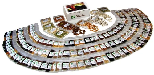 Heirloom Non Hybrid GMO Seed Organic Fruit Vegetable Disaster Emergency Garden