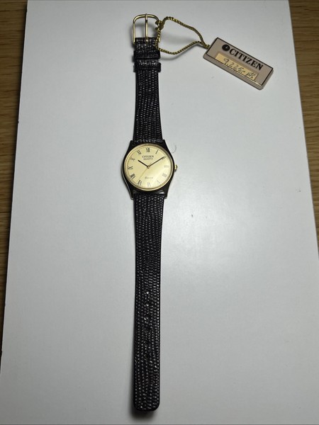 Citizen AX-4106-82