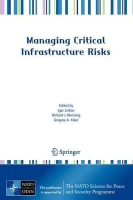 Managing Critical Infrastructure Risks - 9781402063848
