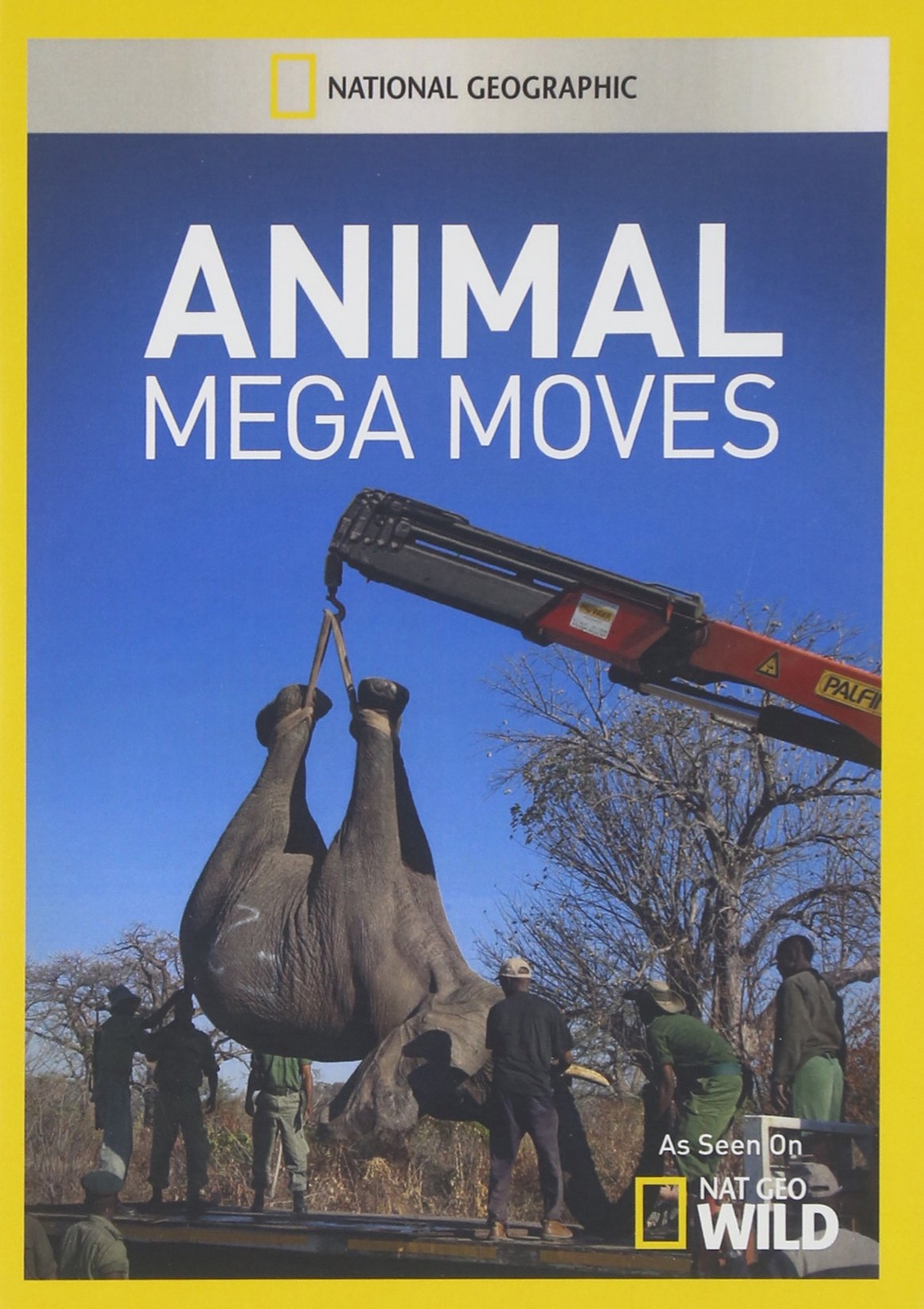 Animal Mega Moves - (2 Discs) (DVD)