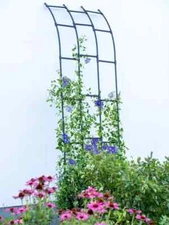 Half Arch Garden Trellis Yard Plants Vines Landscaping