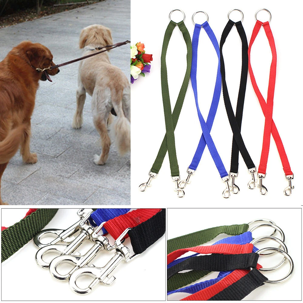Dog top leash supplies