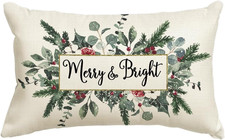 Christmas Merry  Bright Eucalyptus Mistletoe Throw Pillow Cover, 12 X 20 Inch W
