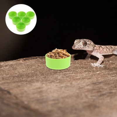  30 Pcs Reptile Pet Feeding Bowl Jumping Spider Dish Frog Water Feeder