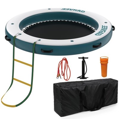 Inflatable Water Dock Platform w/ Mesh Swim Zone Ladder Pump for Lake Ocean Pool