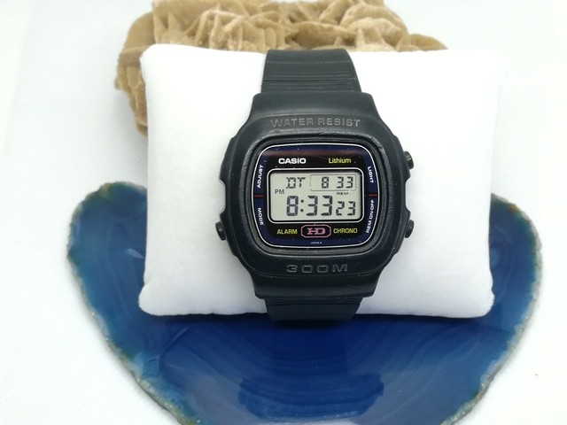 casio dw 300