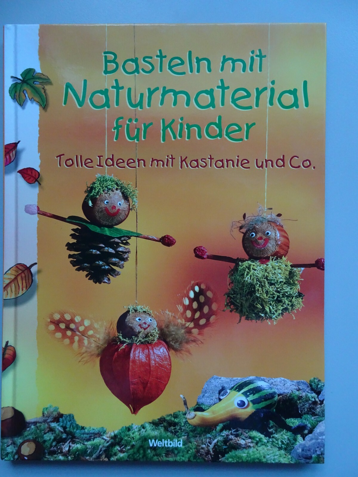 Buch Basteln Mit Naturmaterialien Herbst Gunstig Kaufen Ebay