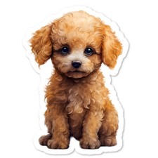 Poodle Puppy Vinyl Sticker, Water Bottle, Scrapbooking, Laptop, Journal, Gifts