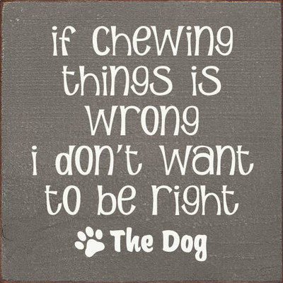 If Chewing Things Is Wrong I Don't Want To Be Right- The Dog Old Ivory