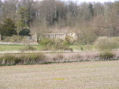 Photo 6x4 Remains of Sibton Abbey Close-up with Abbey Wood in the backgro c2008