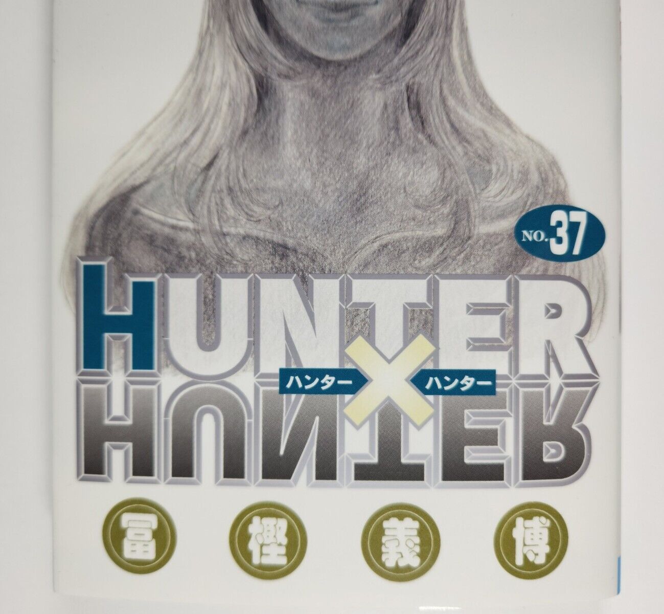 Animes In Japan 🎄 on X: INFO O RETORNO DA LENDA! Ilustração especial do  mangá de HUNTER x HUNTER, de Yoshihiro Togashi, promovendo o volume 37 da  obra.  / X