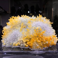 8.38LB Natural Quartz citrine Mineral pyrite Crystal Reiki Decor energy+Stand