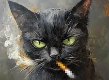 Diamond Art Kits for Adults Beginner, Black cat DIY Modern Diamond Painting Kits