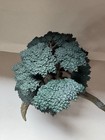Games Workshop Age of Sigmar Sylvaneth Awakened Wyldwood Trees x2 Painted T21 — photo 8