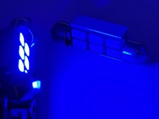 Rebaydo 2pcs Led Festoon 3 Watt 12v Acdc 1 12 Or 39mm Dimmable