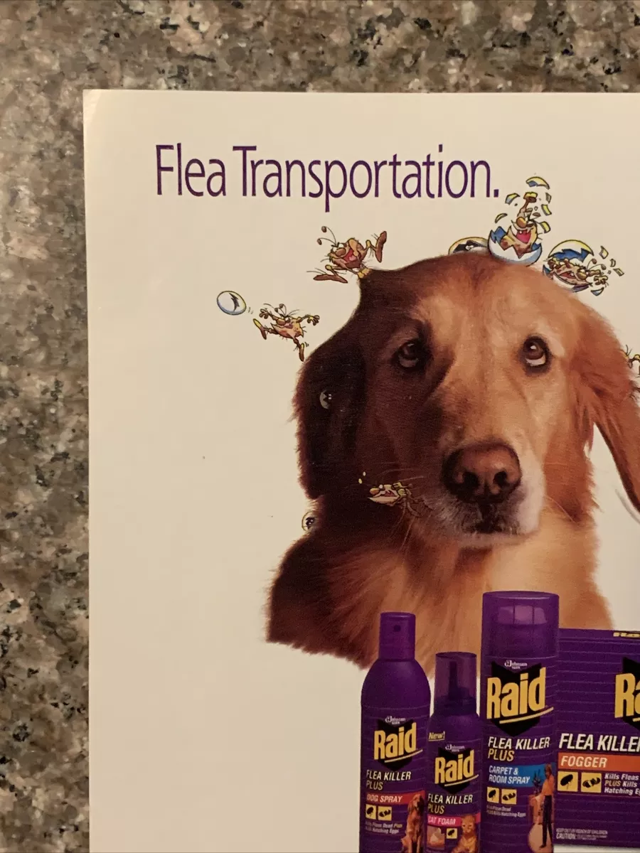My dog ate a fly cheap sprayed with raid