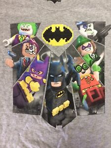 Lego Batman Boys T-Shirt Gray Team Batman Movie  Robin Catwoman DC Comics