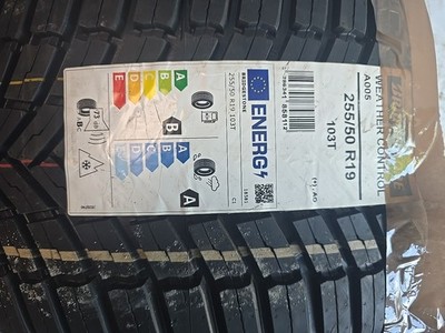 2x Allwetterreifen 255/50 R19 103T BRIDGESTONE Weather Control A005