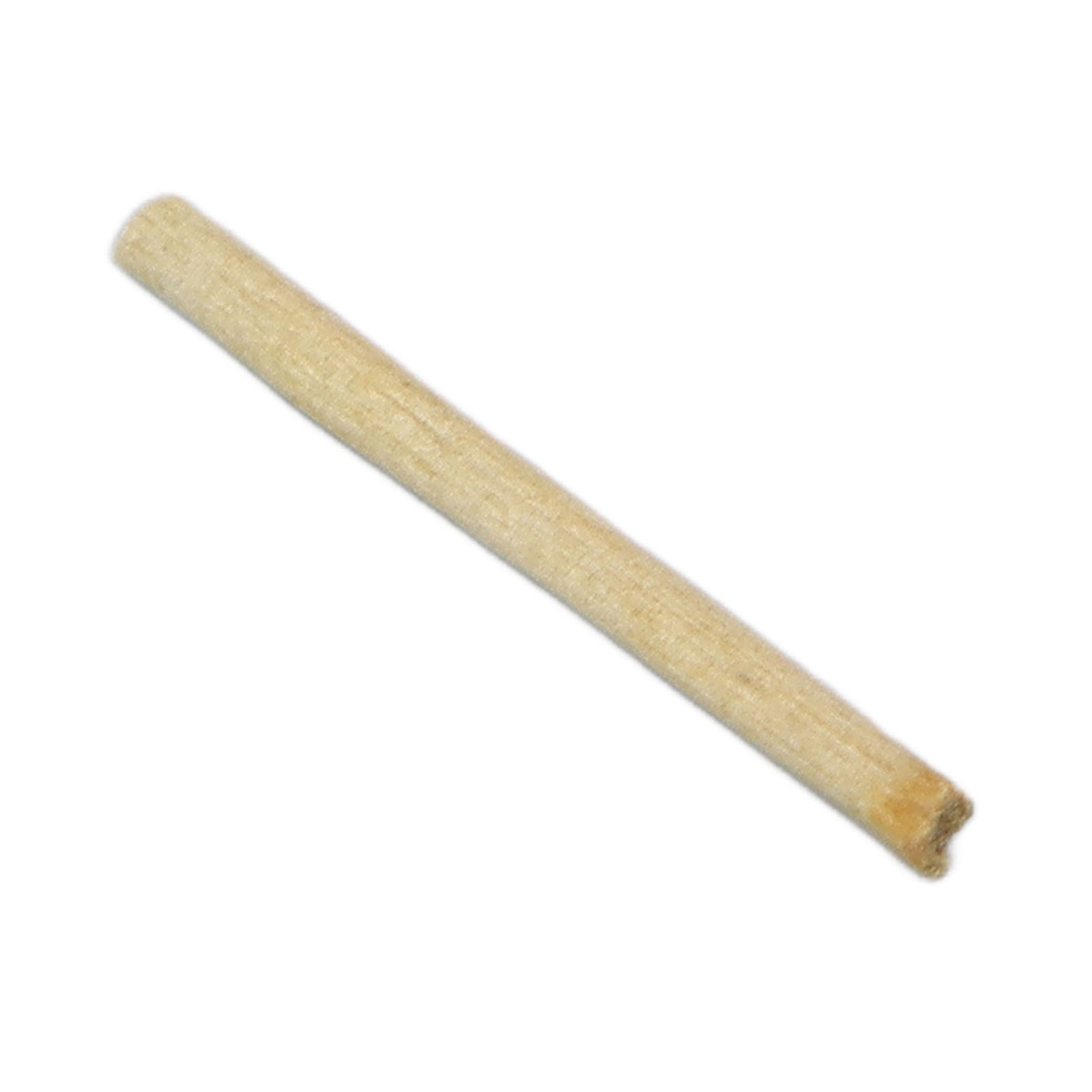 ༝50pcs Tea Stem Stud Earrings Prevent Inflammation Tea Rod Curing Ear Hole St
