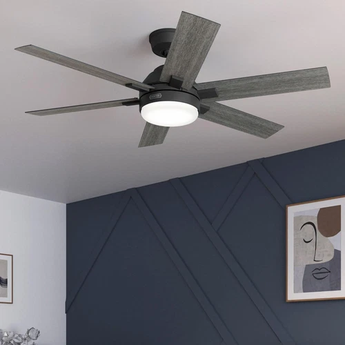 Hunter 52 Georgetown ENERGY STAR Ceiling Fan W/ LED Light, Remote - Contemporary - Picture 1 of 24