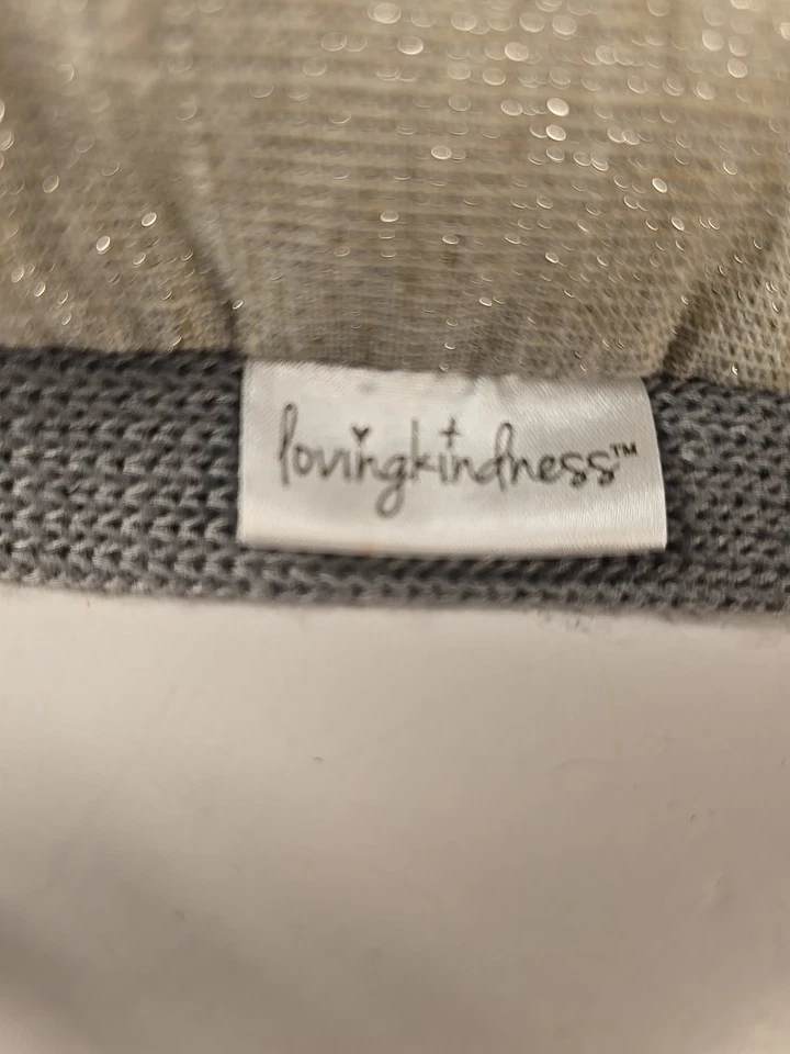 Loving Kindness Appliqued Embroidered Pumpkin Throw Pillow Gray Beige Fall 28x13 - Image 3 of 3