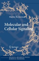 Martin Beckerman | Molecular and Cellular Signaling | Taschenbuch | Englisch
