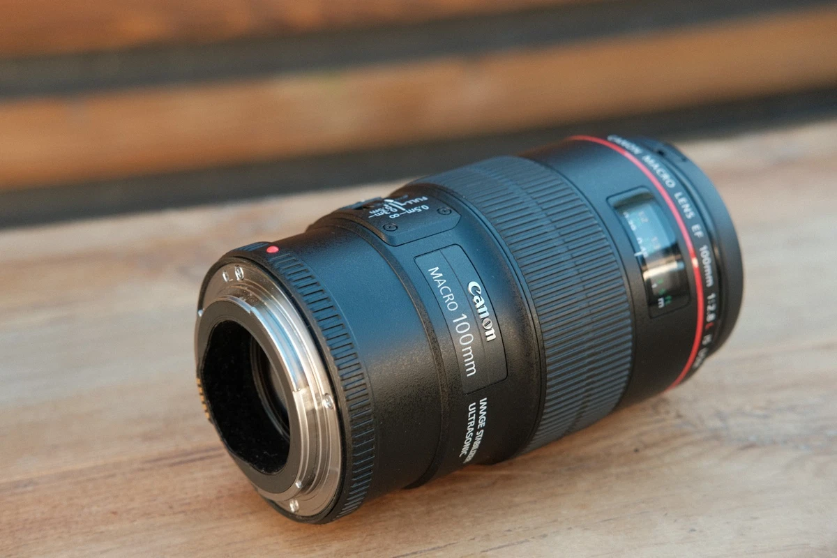 ☆訳あり極上品☆ キヤノン EF 100mm f2.8 Macro #936 【公式通販】