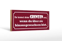 Holzschild Spruch 27X10 Cm Kennst Deine Grenzen Erst Wenn Schild Wooden Sign
