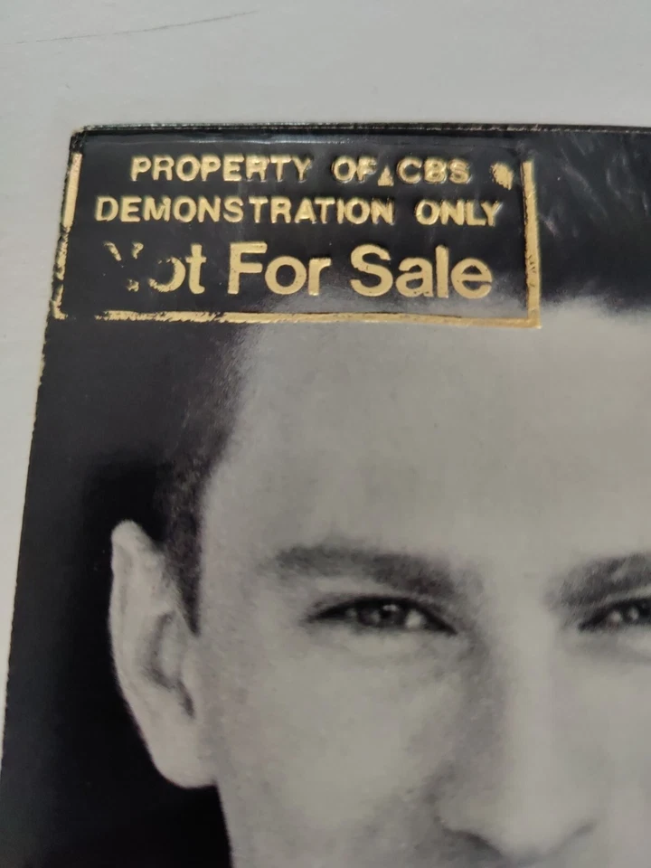 Eigth Wonder Fearless 1988 vinyl LP Demonstration copy Promo Patsy Kensit Foto 3 de 4