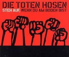 Steh auf,Wenn du am Boden Bist von Toten Hosen,die | CD | Zustand sehr gut