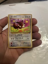 Eevee Pokemon Jungle Regular (Japanese)