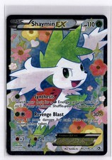 Pokemon Tesori Leggendari