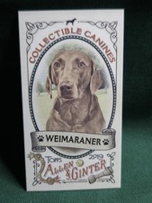2019 Topps Allen And Ginter COLLECTABLE CANINES CC-21 WEIMARANER