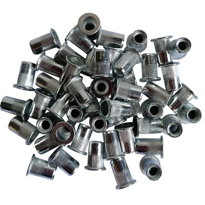 ASTA SACHET DE 50 INSERTS FILETES ACIER GALVANISE DE M6