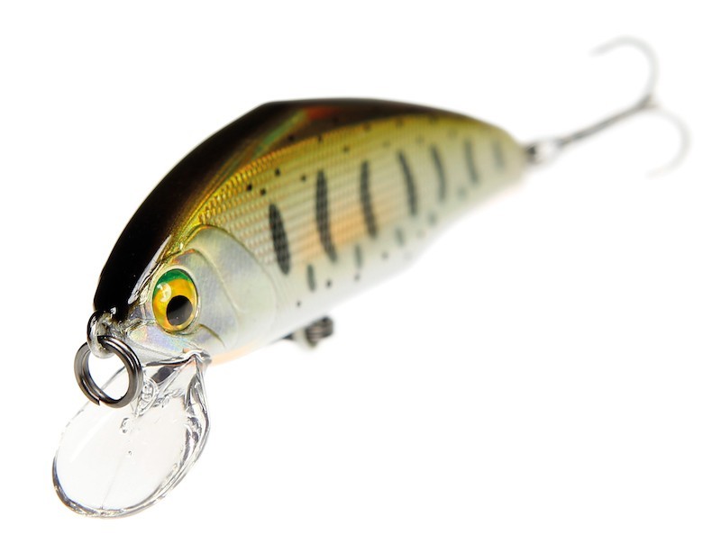 Smith D-Incite 64mm leurre de 7.6g pour pêcher creux dans le courant