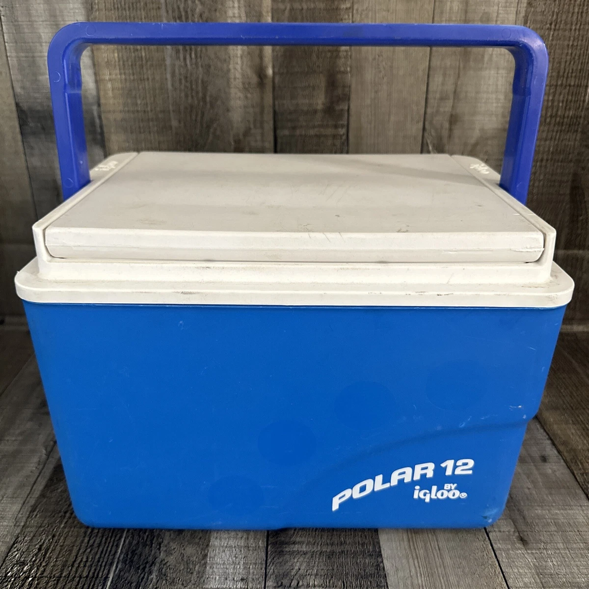 Small cooler cheap igloo