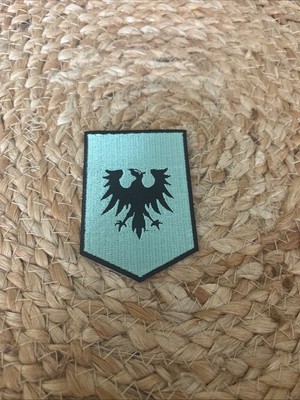 Gallente Federation EVE Online Universe Patch Iron On Rare Logo 3 