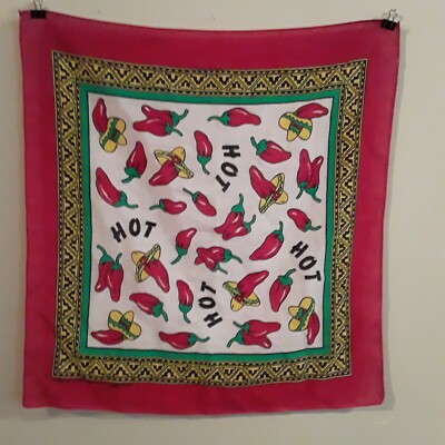 ヴィンテージレッチリバンダナ2002年製 Vintage Red Hot Chili Peppers Chilis Bandana Made in USA #14193 20